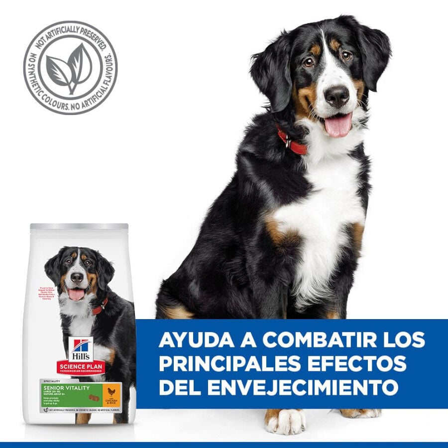 Hill&#039;s Science Plan Youthful vitality Large pienso para perros thumbnail