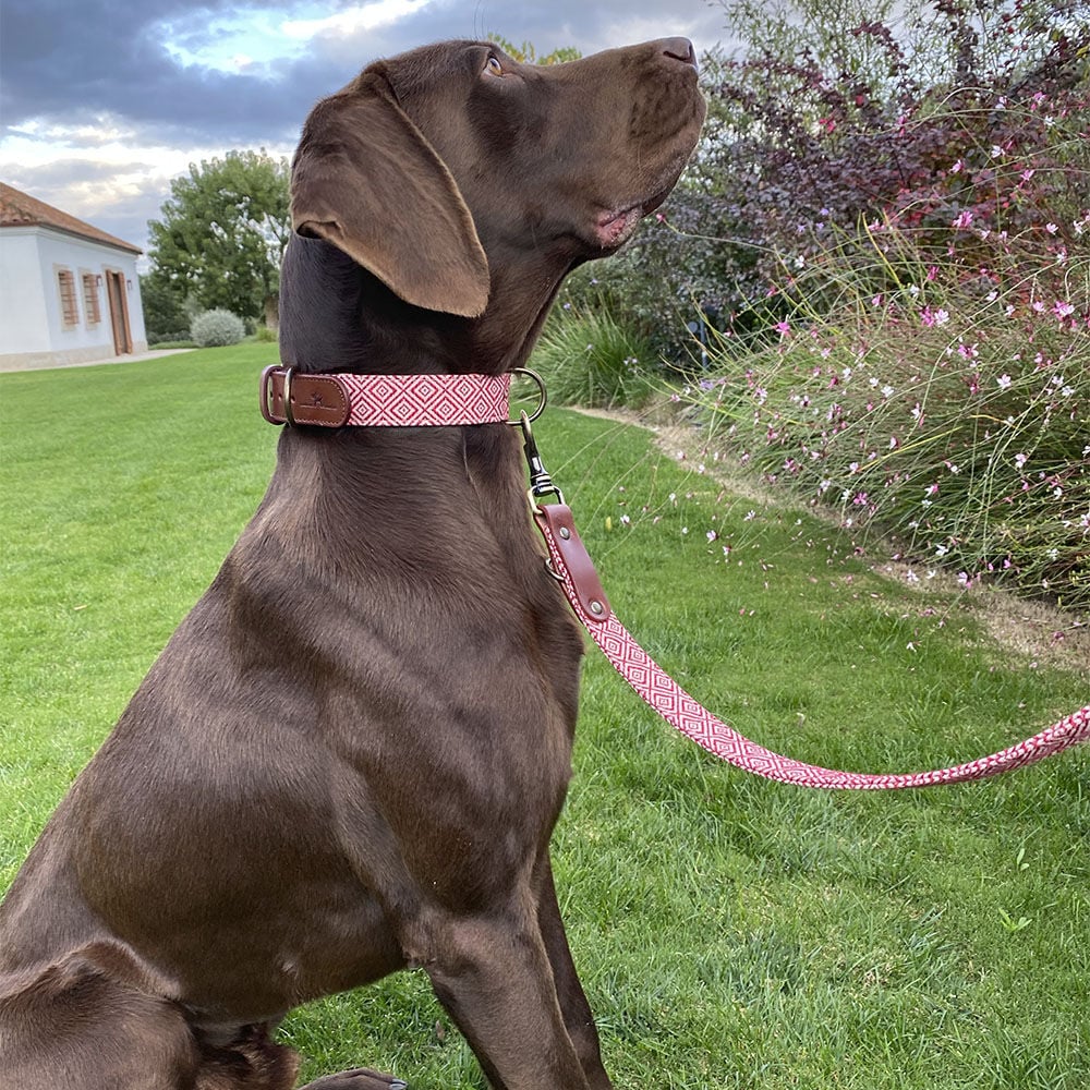 Ladran Gaucho Collar Mambo hecho a mano para perros thumbnail