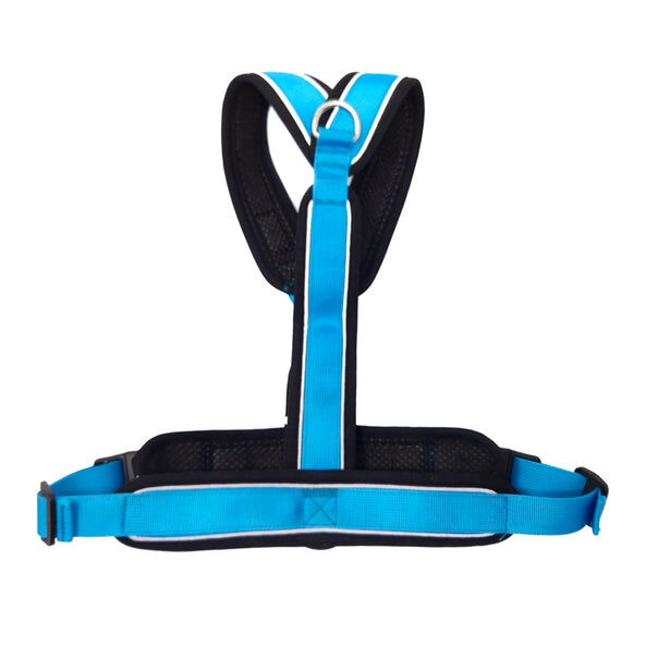 Arn&eacute;s Reflectante Anti-Tirones en Forma "Y"- Ideal para Lebreles: Galgo Italiano, Whippet, Galgo, Podenco - Seguro, Transpirable y Duradero - Perfecto para Caminar, Entrenar y Correr - CELESTE, XL, , large Imagen numero 3