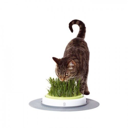 Catit Senses Grass Kit Germinador para gatos, , large Imagen numero 2