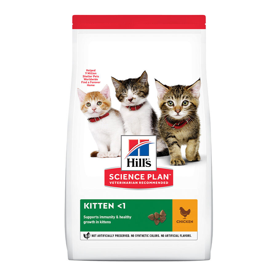 Hill's Science Plan Kitten Pollo pienso para gatos