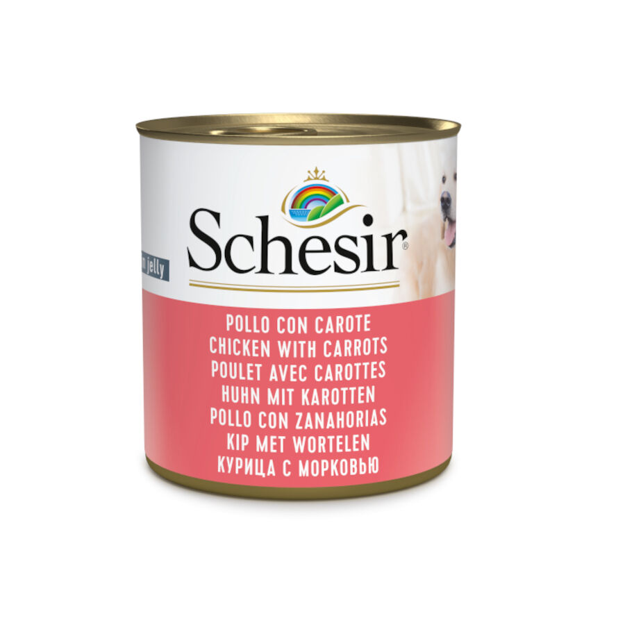Schesir Adult pollo con zanahorias lata para perros