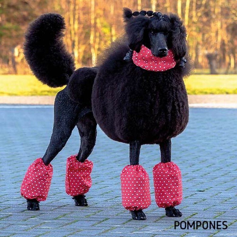 Ibañez "Polka Dots" Leggings, protectores de patas y cuello para perros, , large image number null