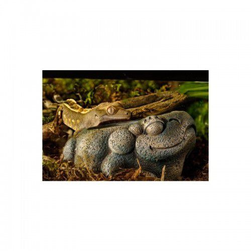 Bebedero Exo-Terra Azteca Frog color Marrón thumbnail