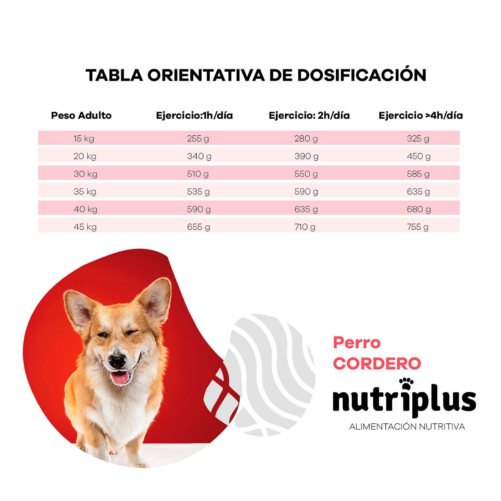 Pienso para perros adultos sabor Cordero, , large Imagen numero 4
