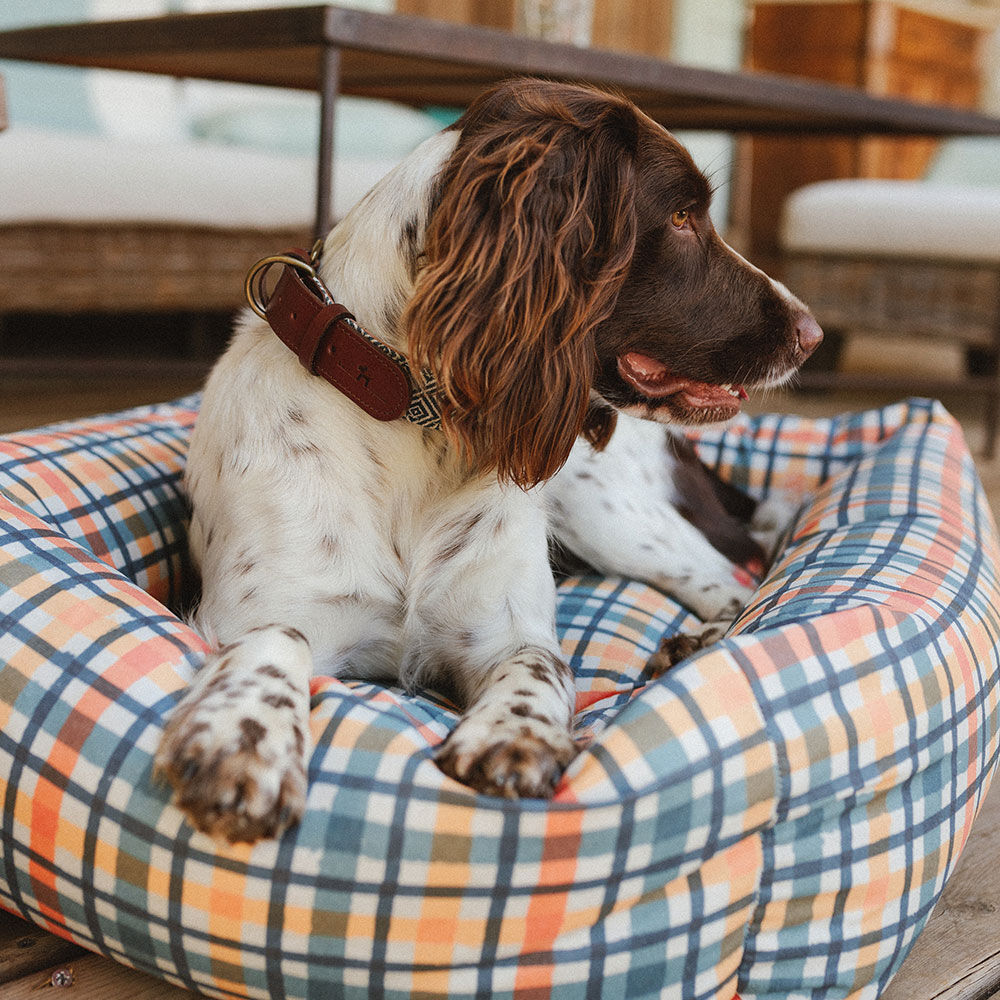 Ladran Gaucho Picasso Cama Impermeable para perros y gatos, , large Imagen numero 4