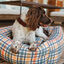 Ladran Gaucho Picasso Cama Impermeable para perros y gatos, , large indicador imagen numero 4