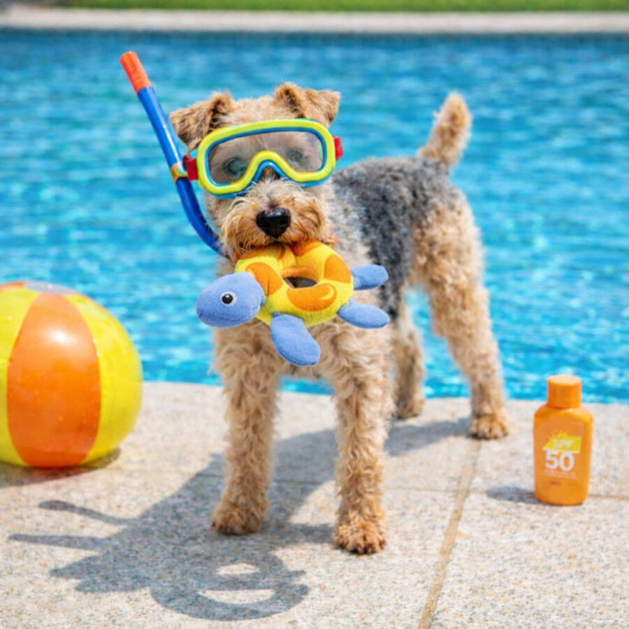 Summer Vibes Peluche Flotante Tortuga Juguete para perros, , large Imagen numero 1