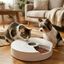 Leeby Comedero Autom&aacute;tico Programable Circular para perros y gatos, , large indicador imagen numero 1
