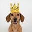 Gorro de cumplea&ntilde;os forma de corona - Hecha a mano - Estampado de Perro Salchicha - Hot Dog, , large indicador imagen numero 2
