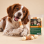 1.5 kg True Origins Wild Huesos con Pollo Snack para perros, , large indicador imagen numero 7