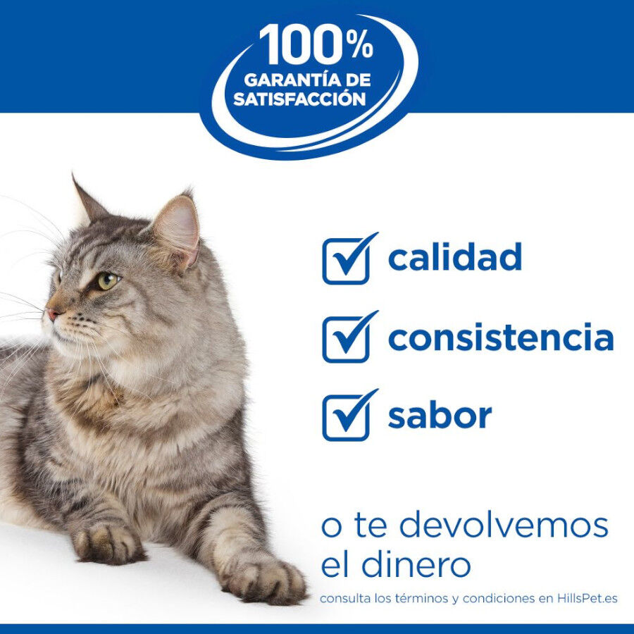 Hill&#039;s Science Plan Youthful Vitality Pollo pienso para gatos thumbnail