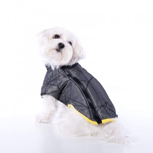 Anorak para perros Groc Groc Chiu Rock negro y plata, , large Imagen numero 1