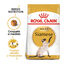 10 kg Royal Canin Adult Siamese pienso para gatos, , large indicador imagen numero 2