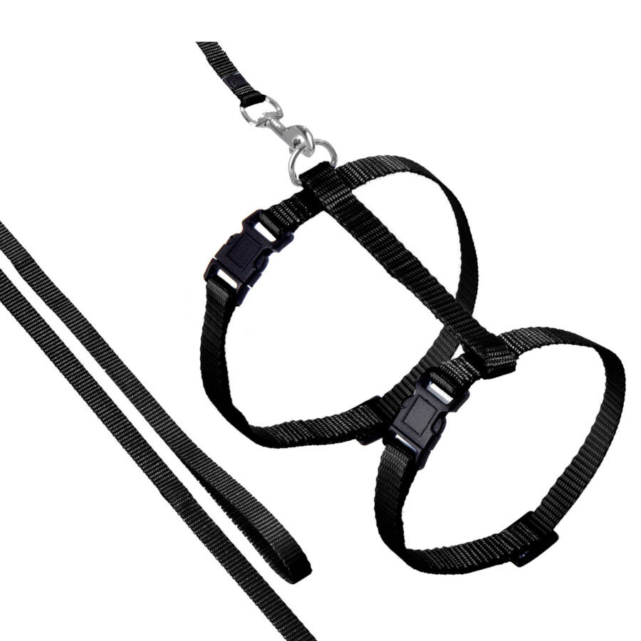 Flamingo Arn&eacute;s con Correa Ziggi Negro para gatos, , large Imagen numero 1