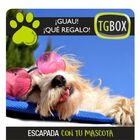 Escapada con tu mascota TGBOX, , large image number null