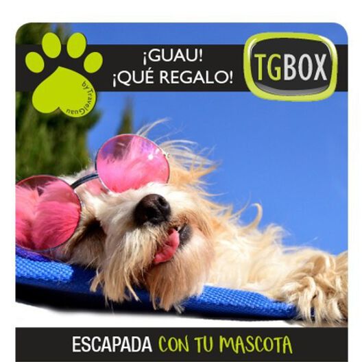 Escapada con tu mascota TGBOX, , large image number null