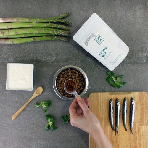 Suplemento Enterokun Mild para la salud intestinal en gatos thumbnail