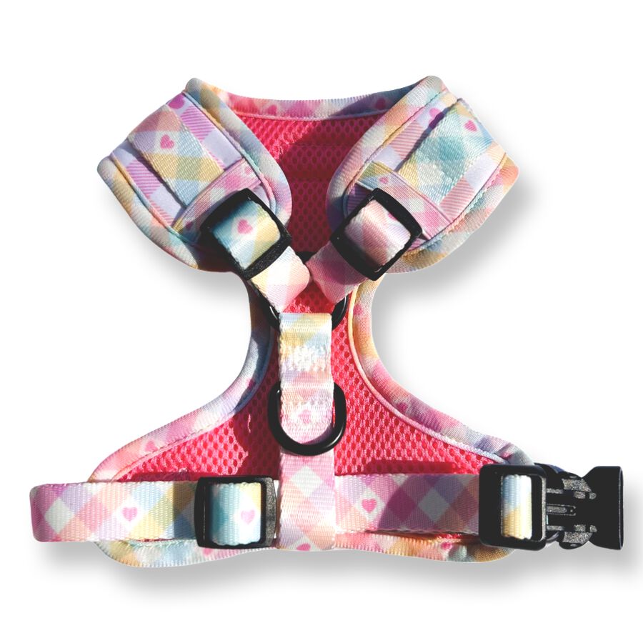 Arn&eacute;s - Vichy Pastel, , large Imagen numero 2