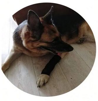 Protector Articular Delantero Talla M, , large Imagen numero 6