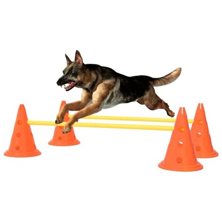 Vidaxl obstáculo de actividades naranja para perros, , large image number null
