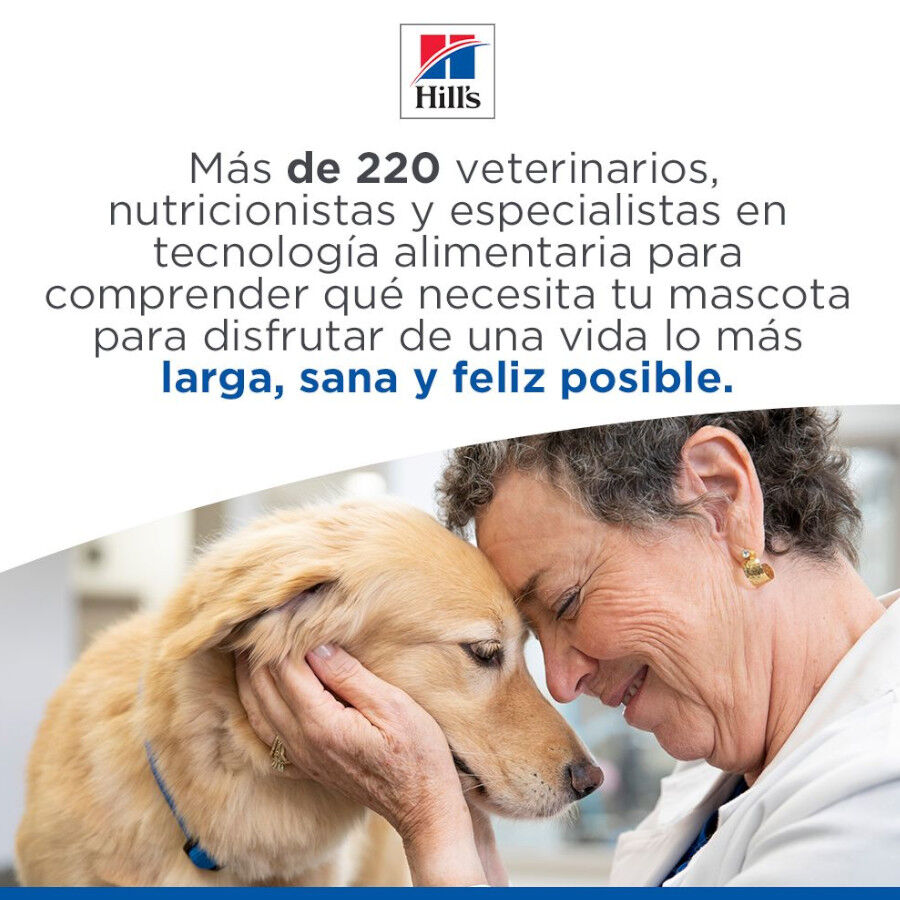 363 g Hill's Science Plan Mature Estofado con pollo y verduras lata para perros, , large Imagen numero 6