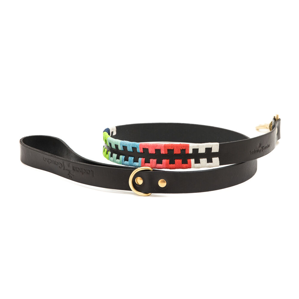 CORREA DOGO - LARGA O EST&Aacute;NDAR, , large Imagen numero 1