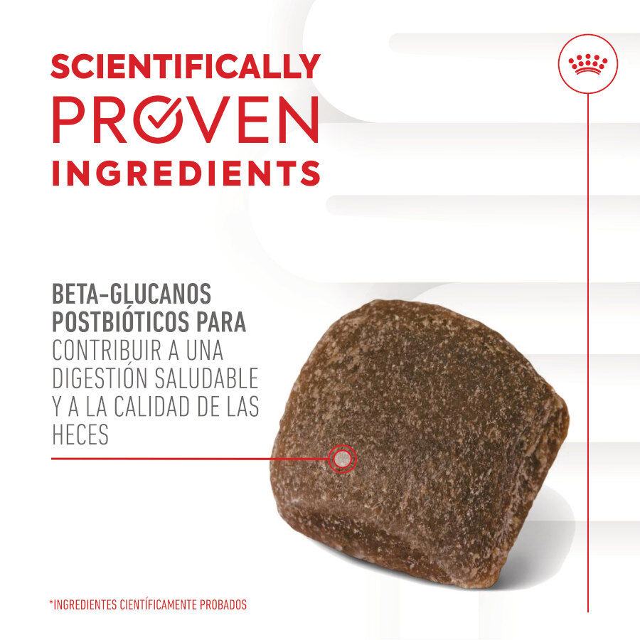 Royal Canin Digestion Chews Suplemento Nutricional para perros con sensibilidad thumbnail