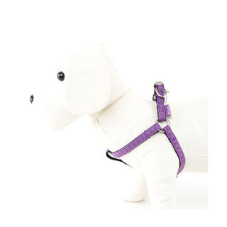 MacLeather Classic Arnés Lila para perros