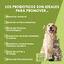 MAIKAI PETS - Probióticos para perros y gatos – Immune Digestive, , large indicador imagen numero 2