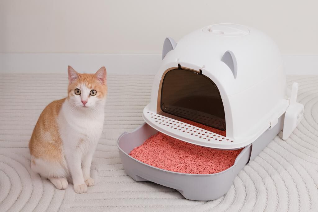 Arenero con Tapa Estilo Gato, Caj&oacute;n Deslizante y Pala, , large Imagen numero 2