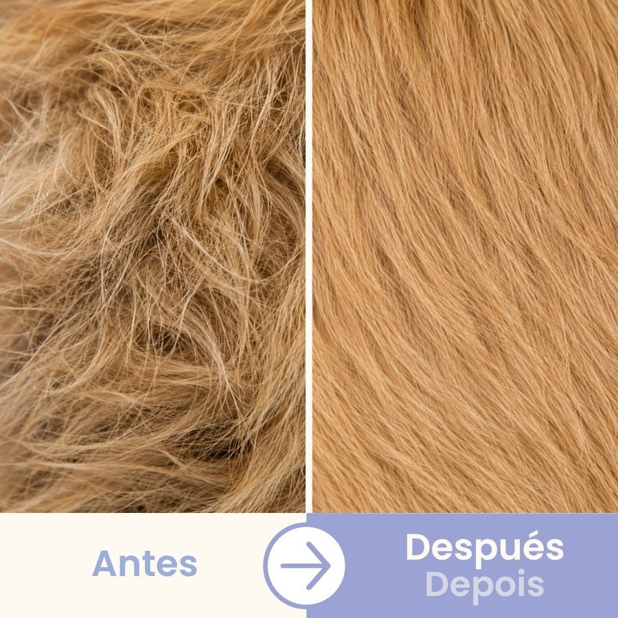 Bloob Cepillo P&uacute;as y Cerdas para perros, , large Imagen numero 5