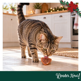 Wonder Christmas Corazones Pollo Snacks para gatos