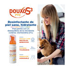 Douxo S3 Pyo Espuma Desinfectante para perros y gatos, , large image number null
