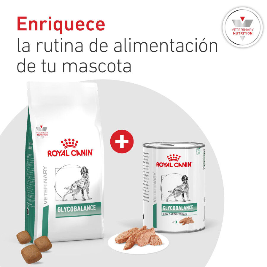 7 kg Royal Canin Veterinary Diabetic pienso para perros, , large Imagen numero 9