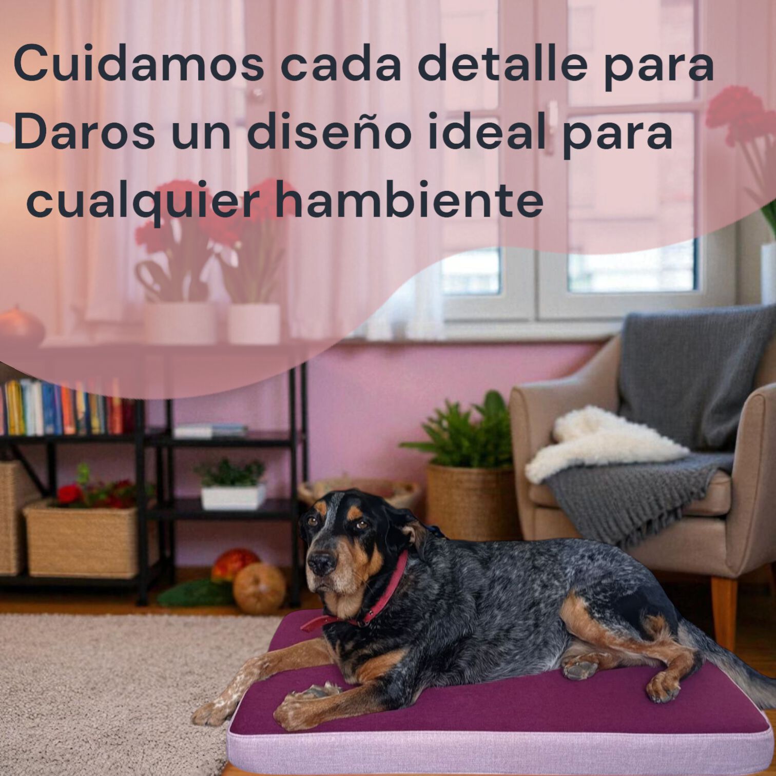 CAMA LULU ROSA Talla XL., , large Imagen numero 5