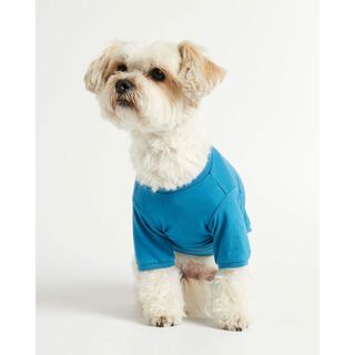 The Painter's Wife Camiseta Imi Azul para perros