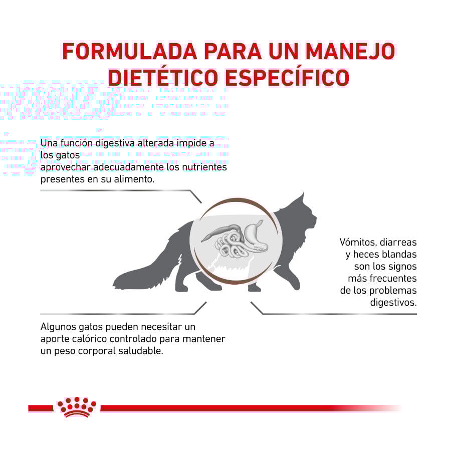 Royal Canin Veterinary Gastrointestinal Moderate Calorie pienso para gatos thumbnail