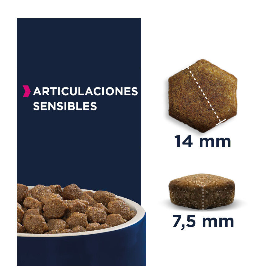 Eukanuba Daily Care Sensitive Joints Pienso para perros adultos thumbnail