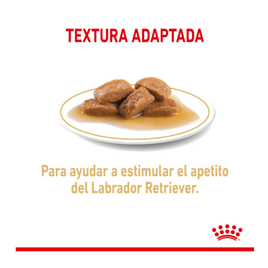 Royal Canin Labrador Sobres para perros thumbnail