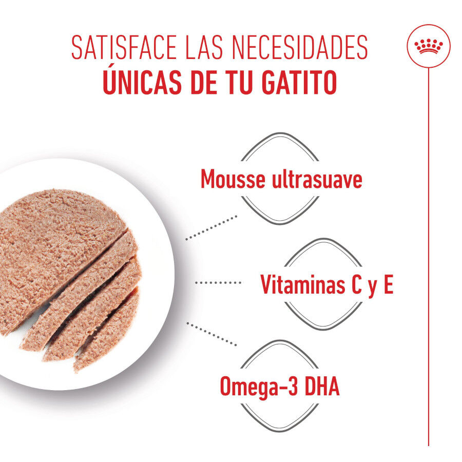 Royal Canin Mother &amp; Baby mousse latas para gatos thumbnail