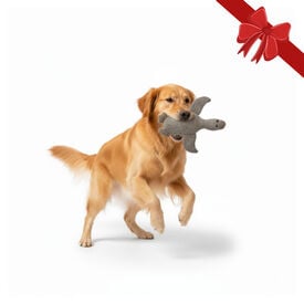 Wonder Christmas Peluche Pato Navideño para perros