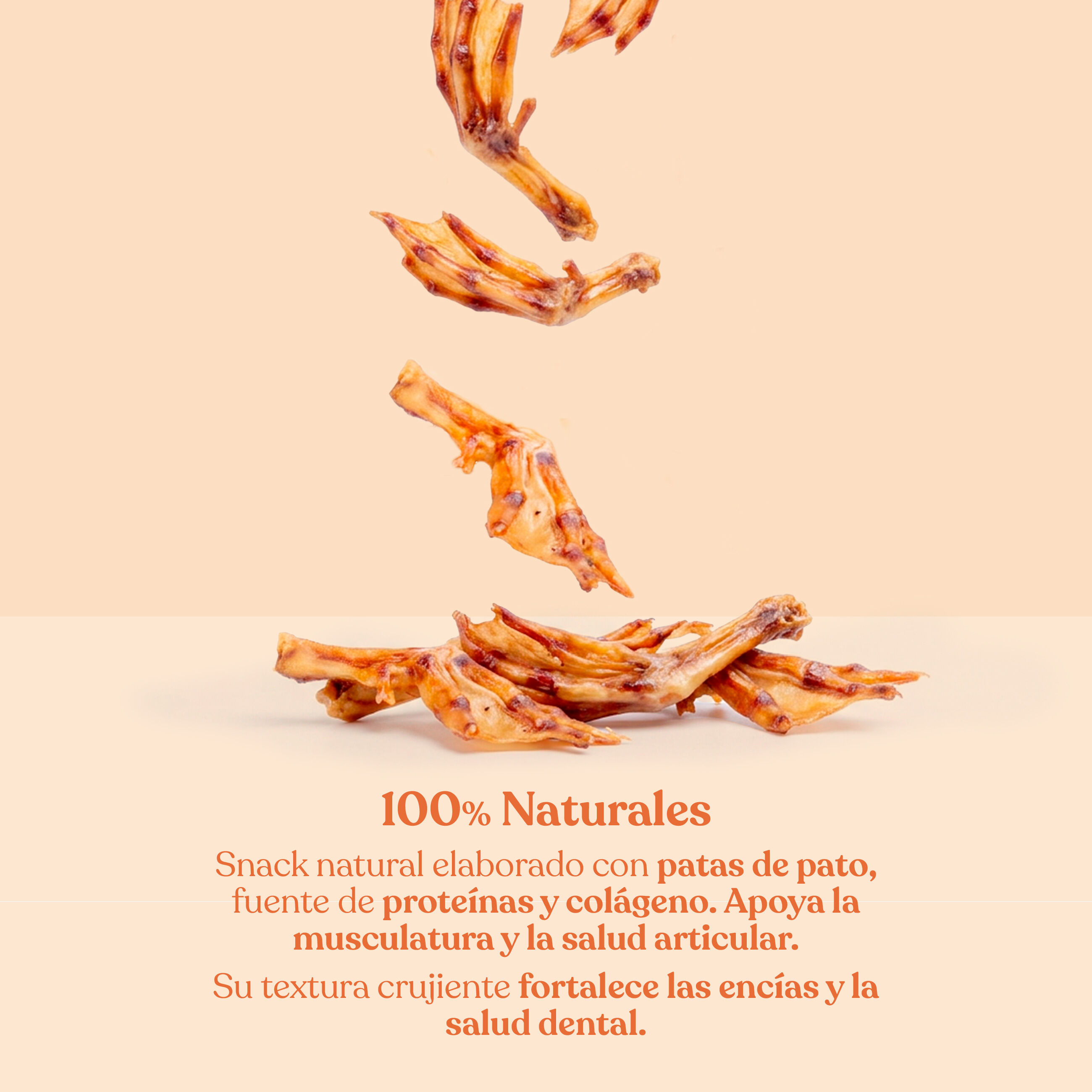 dr.bimix Patas de Pato Naturales para Perros | Snack Natural Rico en Prote&iacute;nas, , large Imagen numero 2