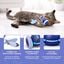 TheKingPet juguete interactivo recargable para gatos con mando, LED y plumas, , large indicador imagen numero 3