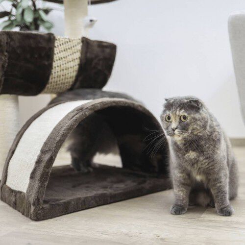 Kerbl &aacute;rbol rascador 2 plantas marr&oacute;n para gatos, , large Imagen numero 4