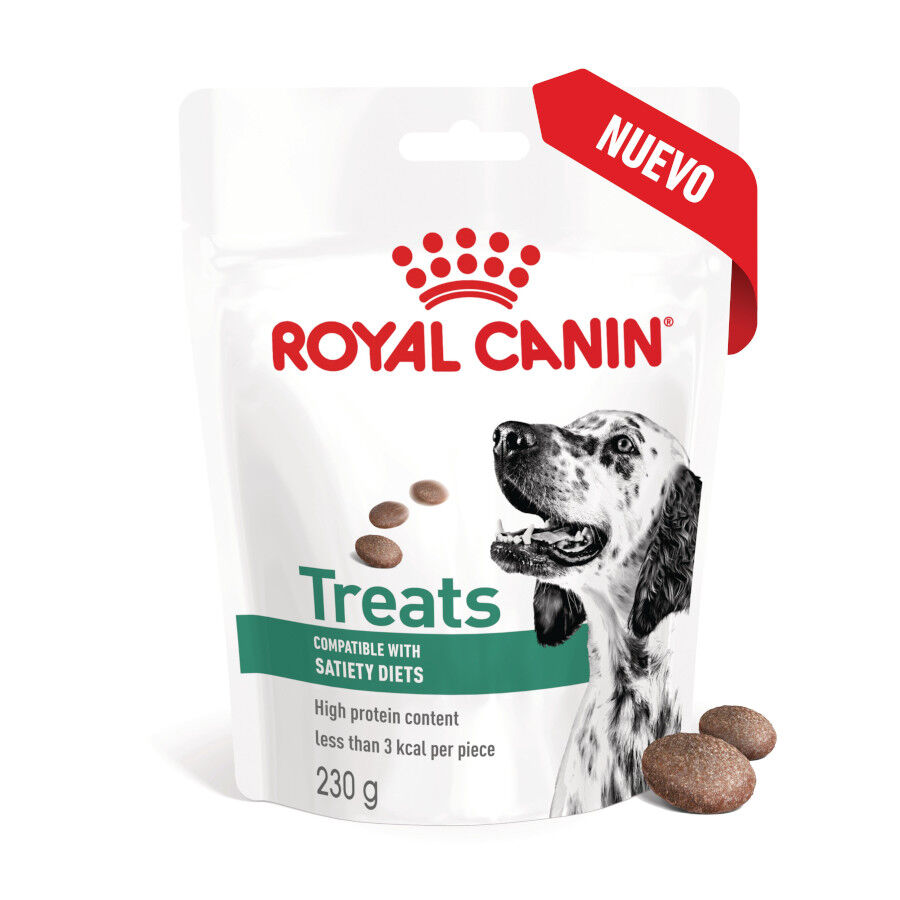 230 g Royal Canin Treats Satiefy Snacks para Perros, , large Imagen numero 2