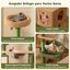 COSTWAY &Aacute;rbol para Gatos, Torre para Gatos con Dise&ntilde;o de Cactus Verde con Condominio, Hamaca, Plataforma, Postes de Rascado de Sisal, Coj&iacute;n Lavable, &Aacute;rbol Rascador para Gatos (77 x 49 x 150 cm), , large indicador imagen numero 4
