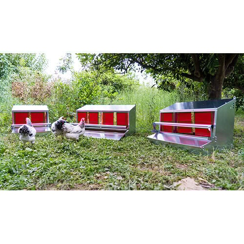 Ormital Ponedero Bennu para aves thumbnail