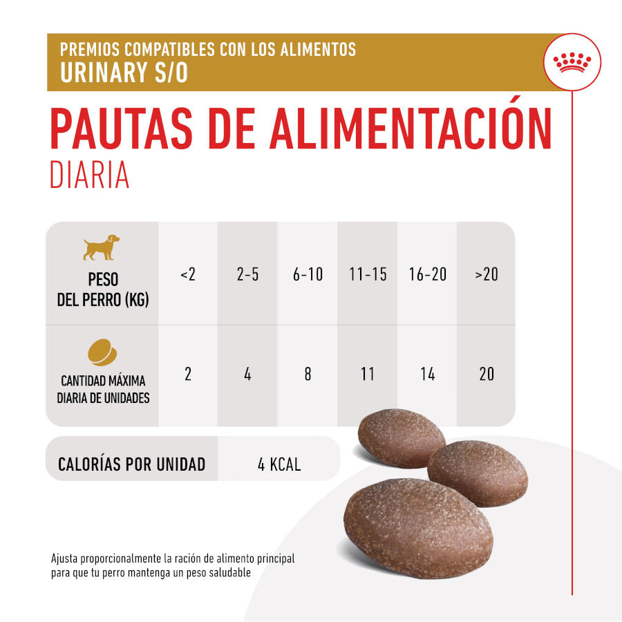 Royal Canin Treats Urinary Snacks para perros thumbnail