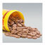JBL Novotab Pastillas para peces, , large indicador imagen numero 2
